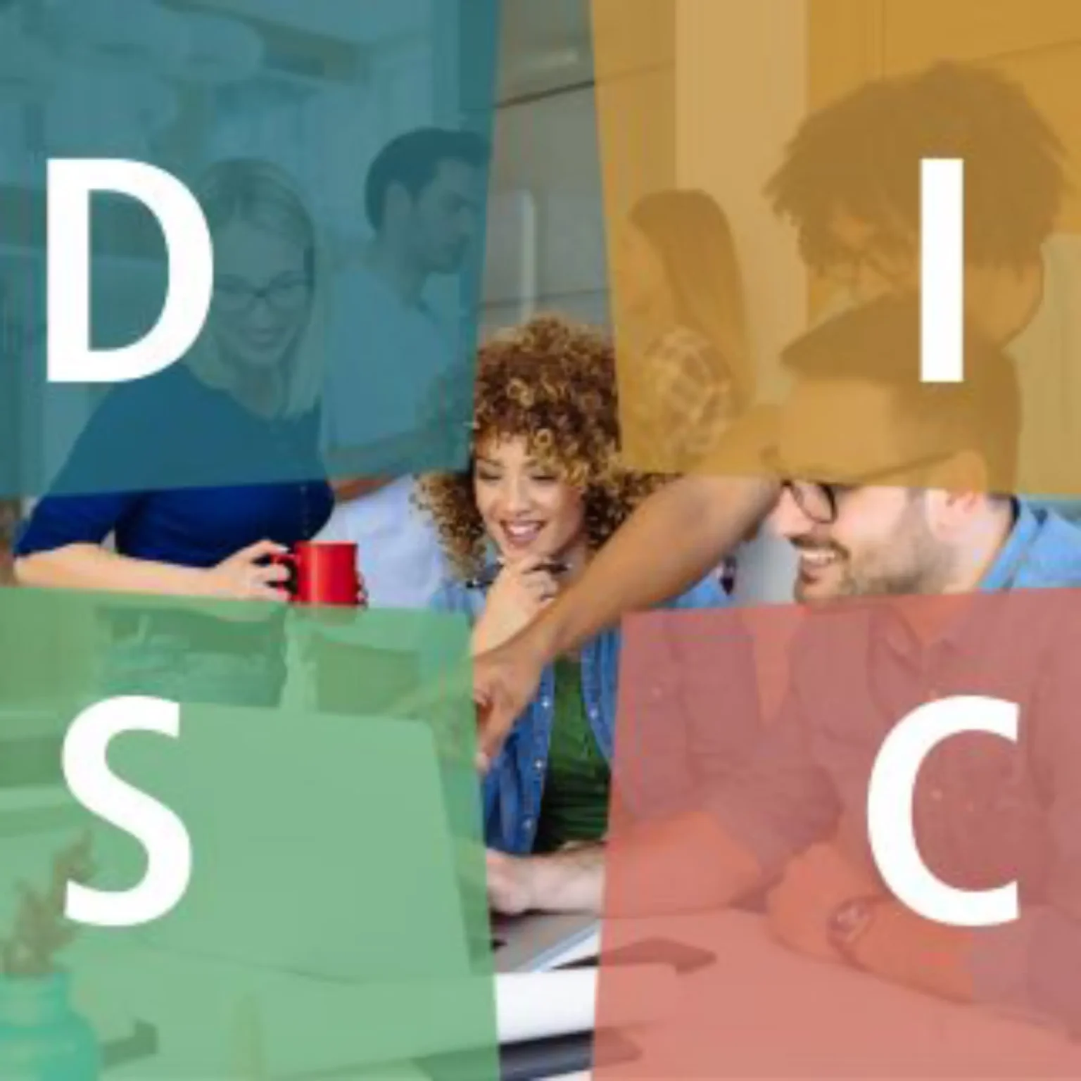 DISC Profile Workshop | Team Communication Training