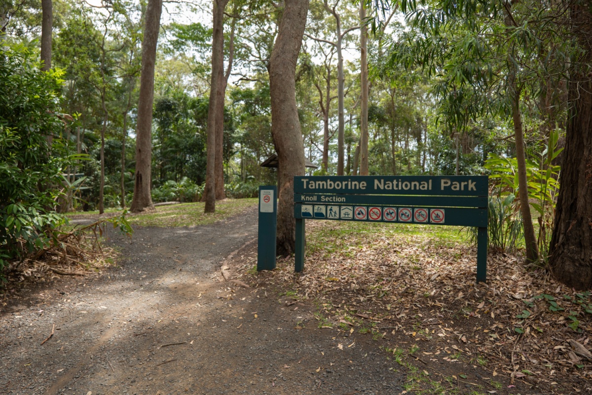 Tamborine Mountain