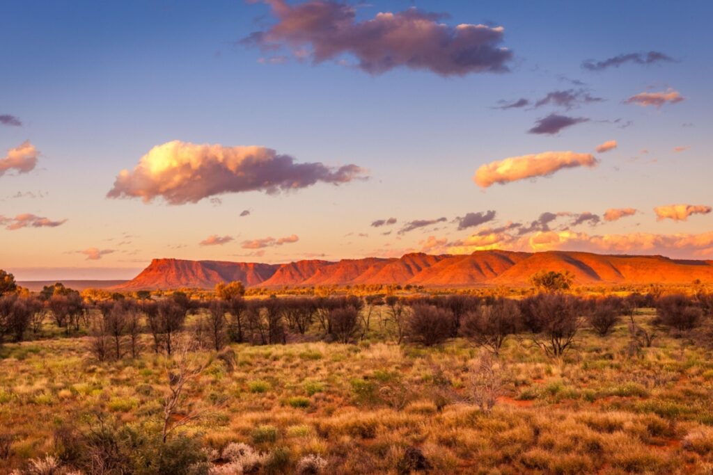 Team Building Activities Alice Springs