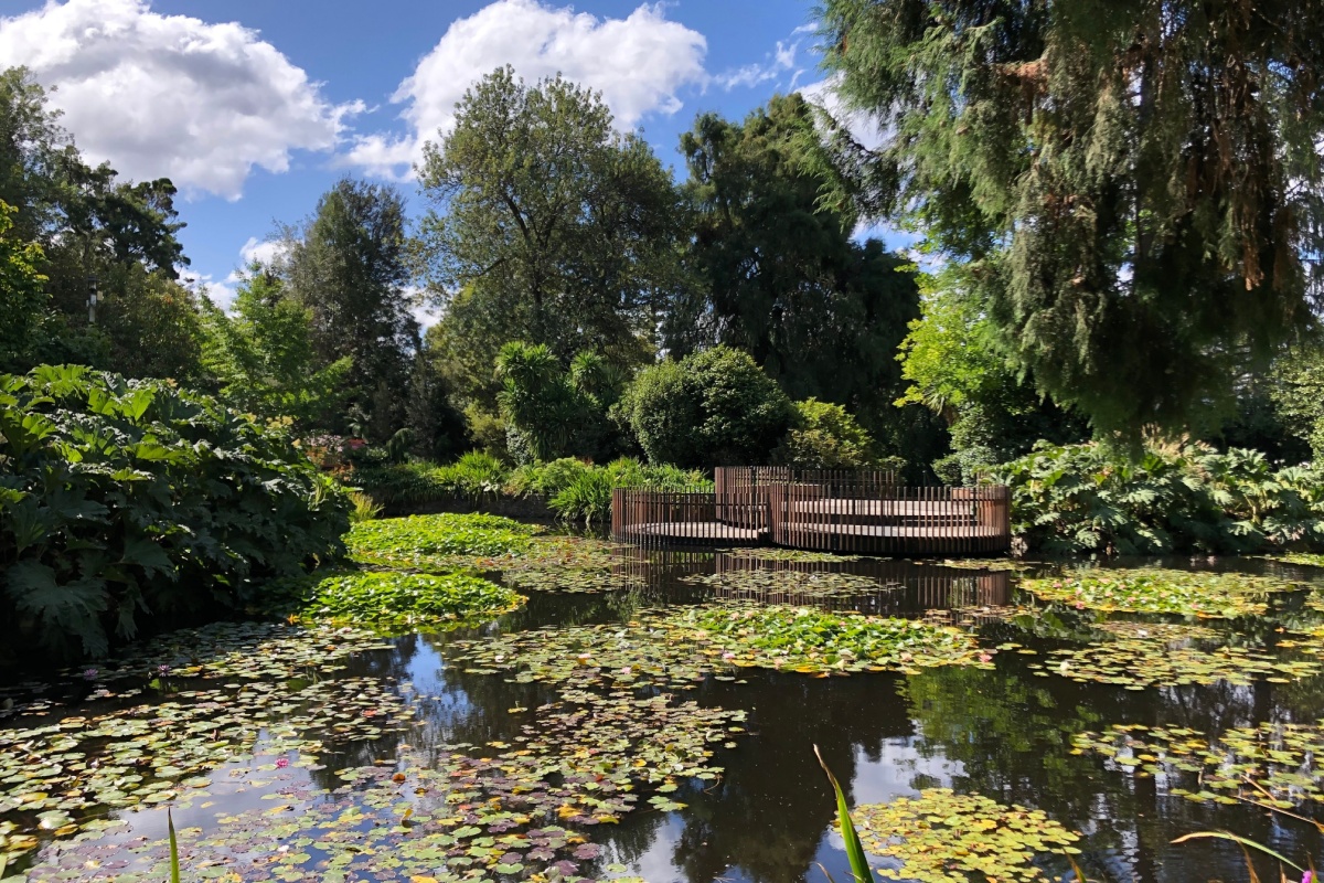 Team Building Activities Hobart